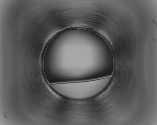 X0000091901037200709051100