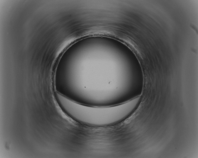 X0000091901038200709051100