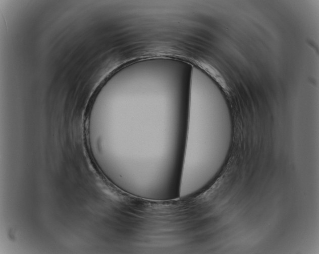 X0000091901039200709051100