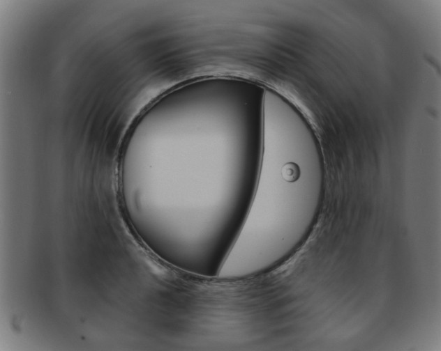 X0000091901040200709051100
