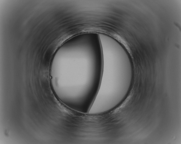 X0000091901041200709051100