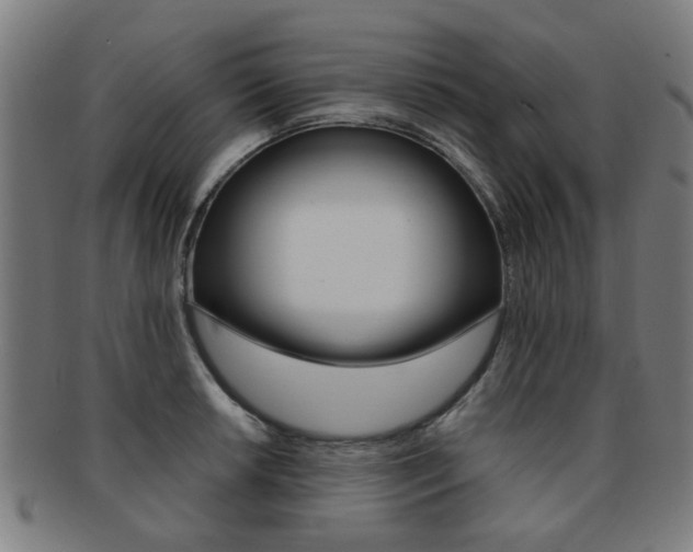 X0000091901042200709051100