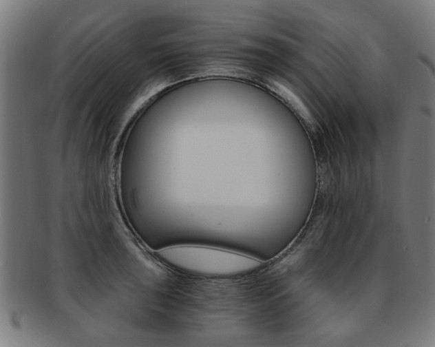X0000091901043200709051100