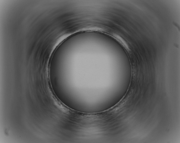 X0000091901044200709051100