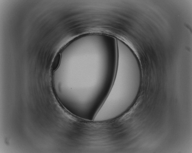 X0000091901045200709051100