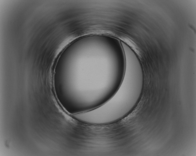 X0000091901046200709051100