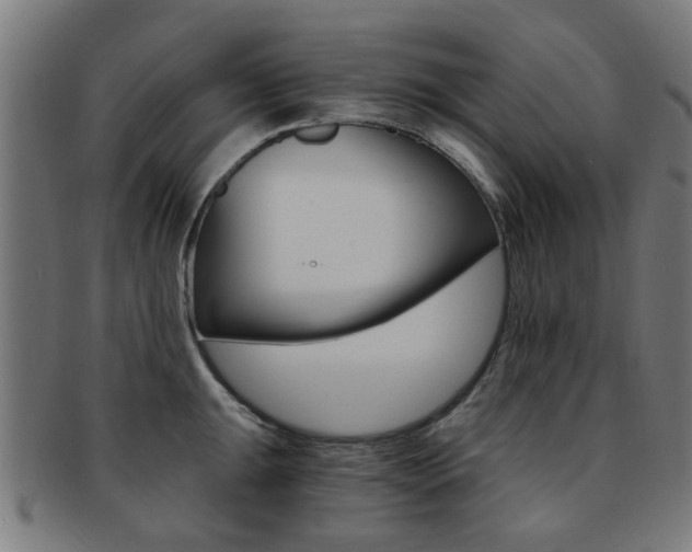 X0000091901047200709051100