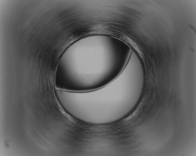 X0000091901049200709051100