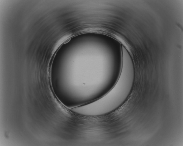 X0000091901050200709051100