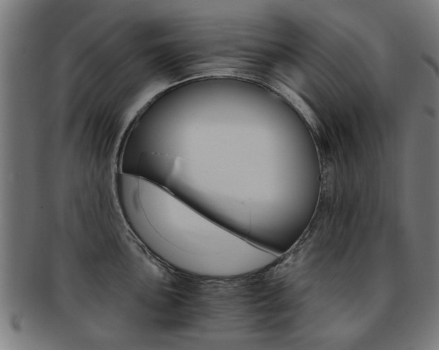 X0000091901051200709051100