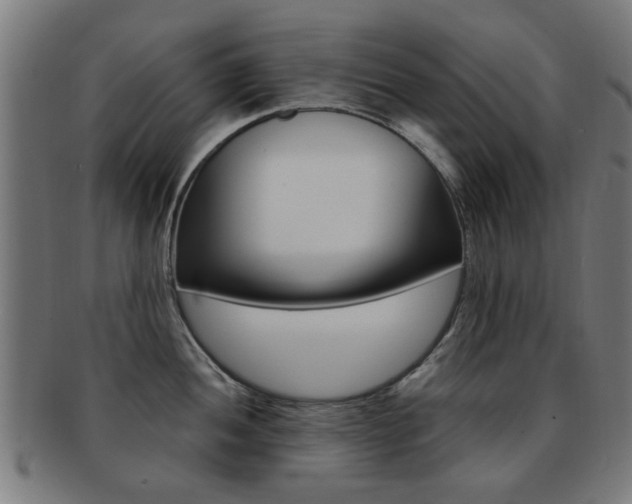 X0000091901052200709051100
