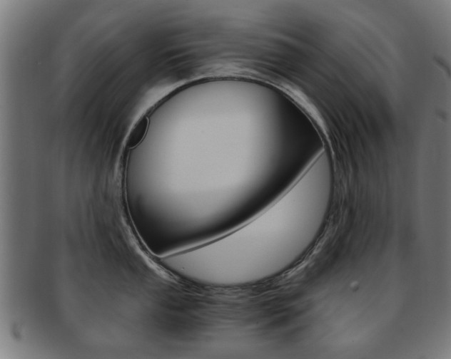 X0000091901053200709051100