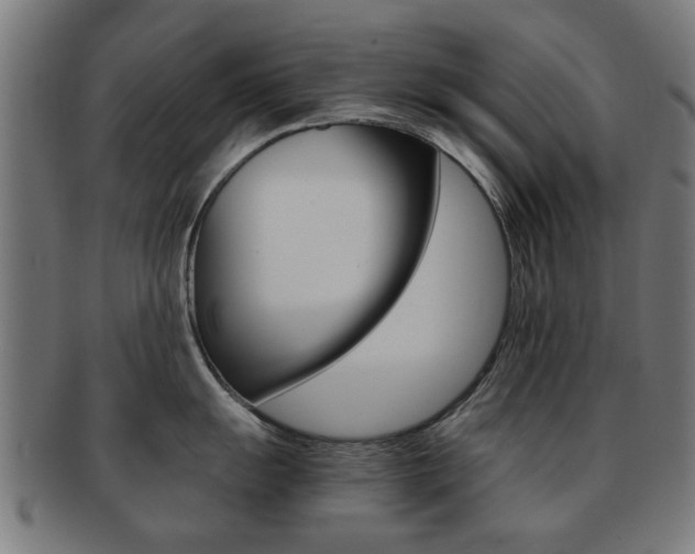 X0000091901055200709051100