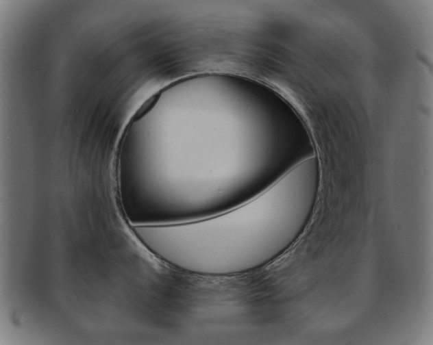 X0000091901056200709051100