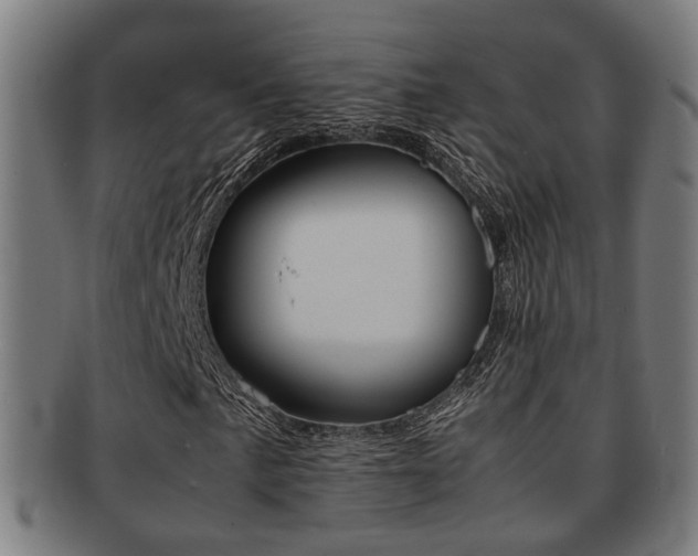 X0000091901057200709051059