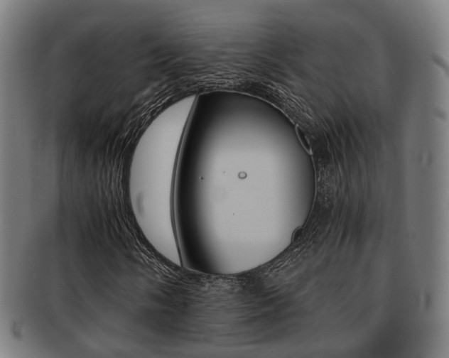 X0000091901058200709051059
