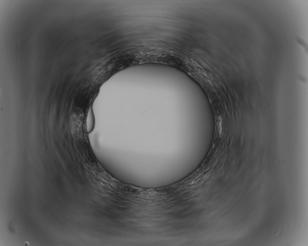 X0000091901059200709051059