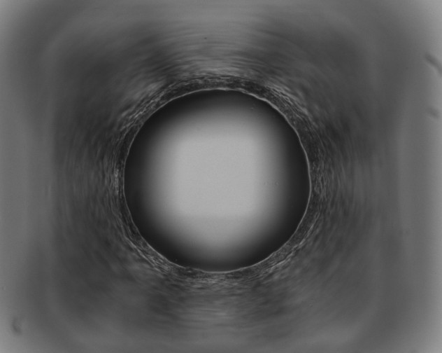 X0000091901061200709051059