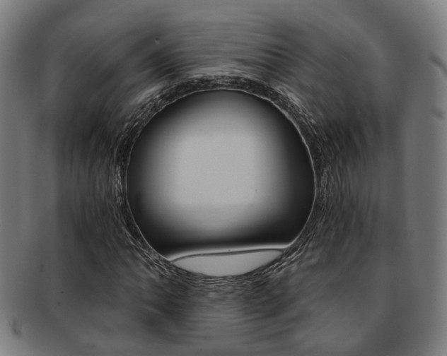 X0000091901062200709051059