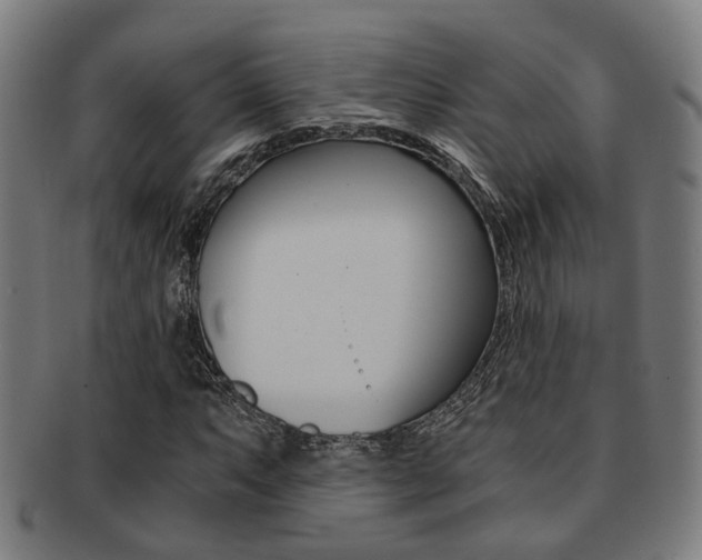 X0000091901063200709051059