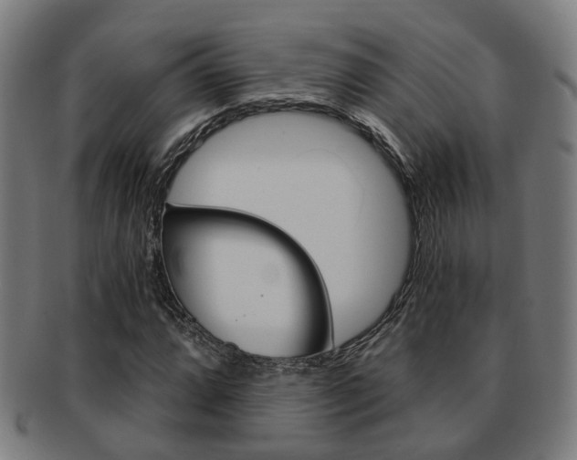X0000091901064200709051059