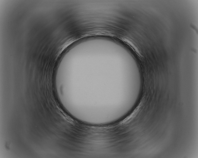 X0000091901065200709051059