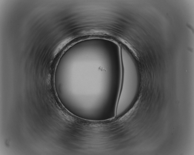 X0000091901066200709051059
