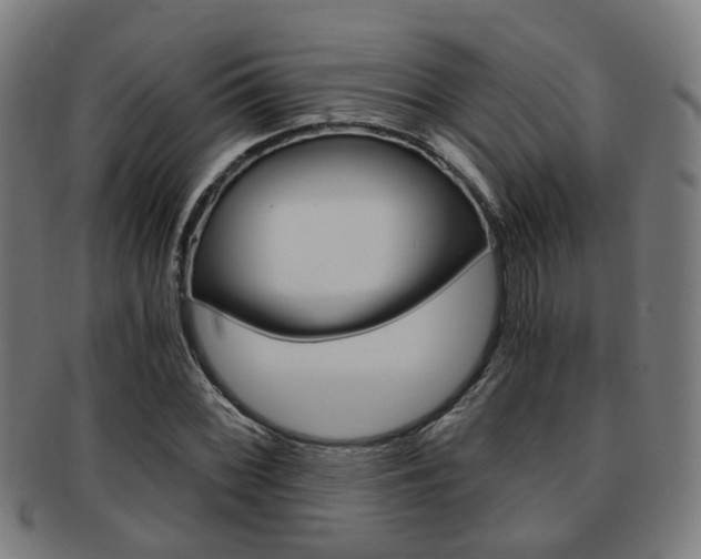 X0000091901068200709051059