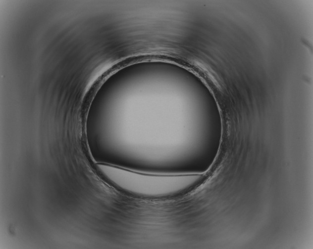 X0000091901069200709051059