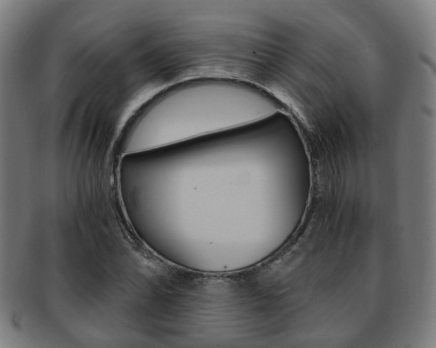 X0000091901070200709051059