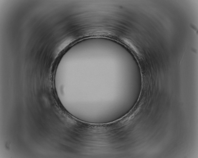 X0000091901071200709051059