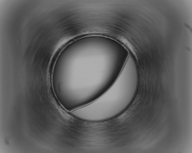 X0000091901072200709051059