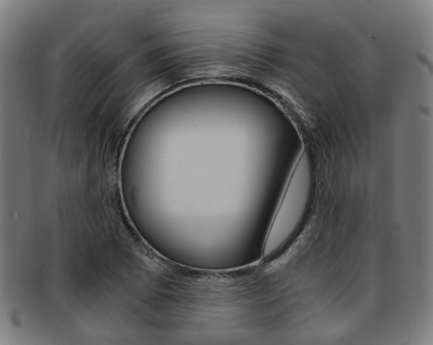 X0000091901073200709051059