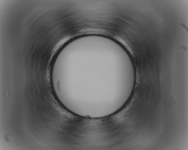 X0000091901074200709051059