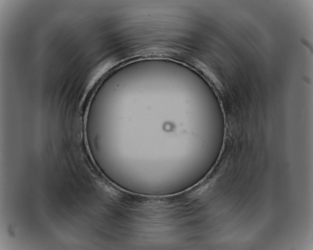 X0000091901075200709051059