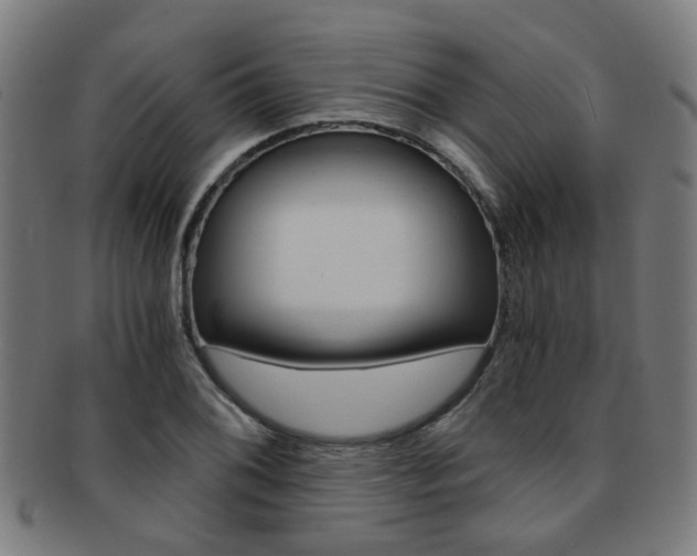 X0000091901076200709051059