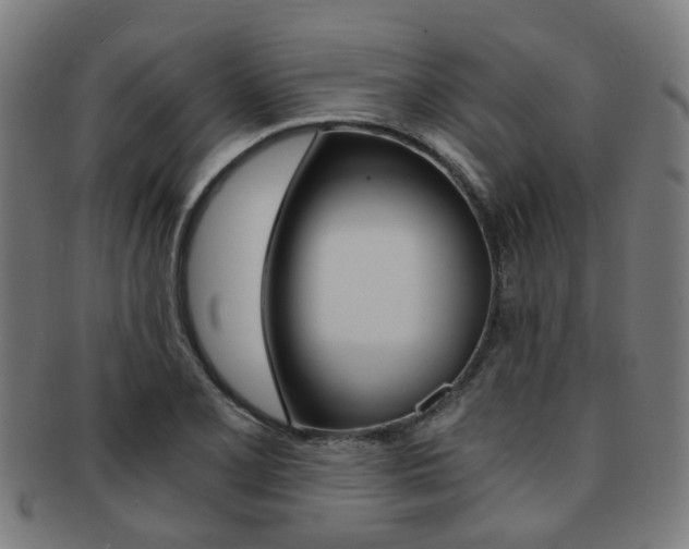X0000091901077200709051059