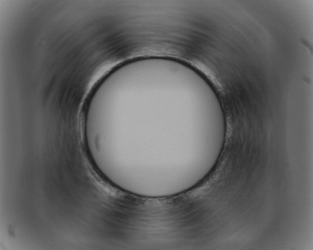 X0000091901078200709051059