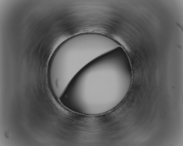 X0000091901079200709051059