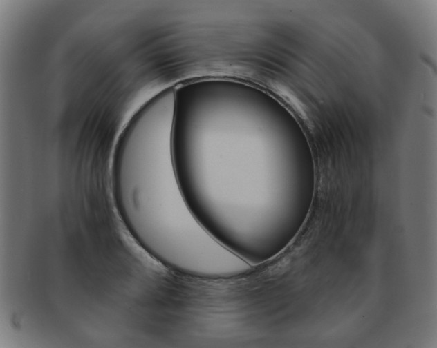 X0000091901080200709051059