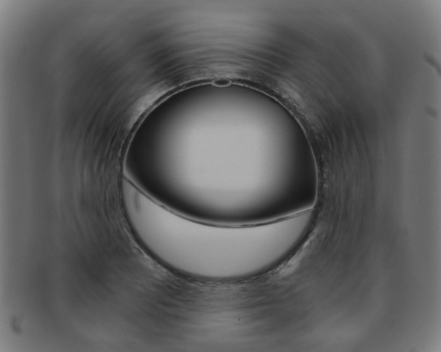 X0000091901081200709051059