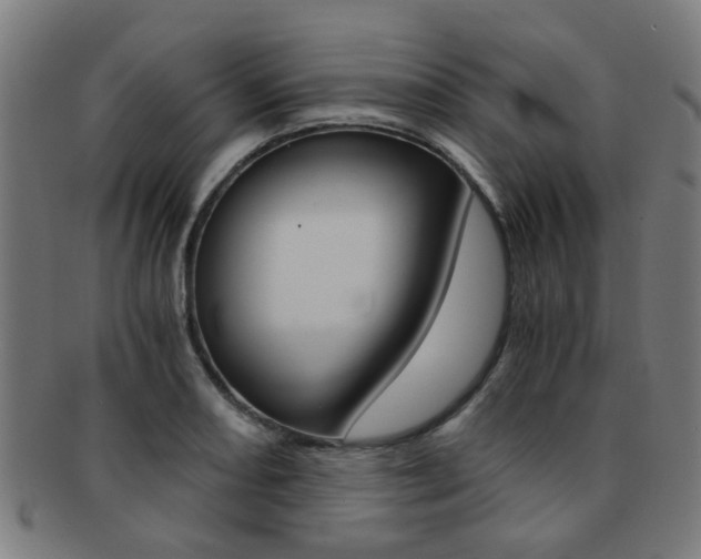 X0000091901082200709051059