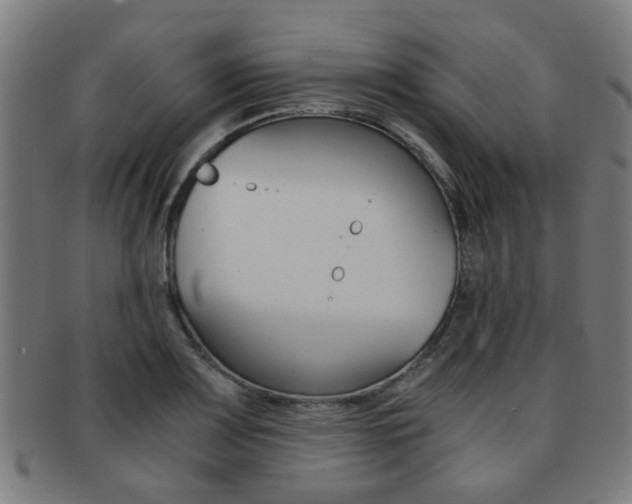 X0000091901083200709051059