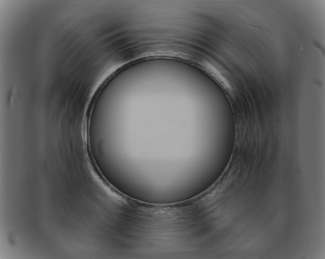 X0000091901084200709051059