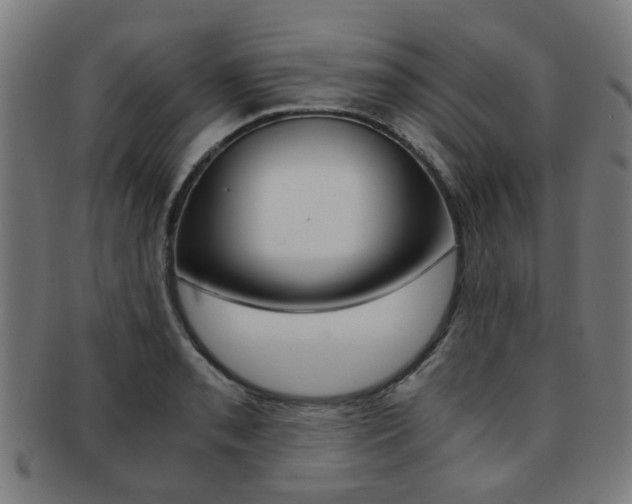 X0000091901085200709051059