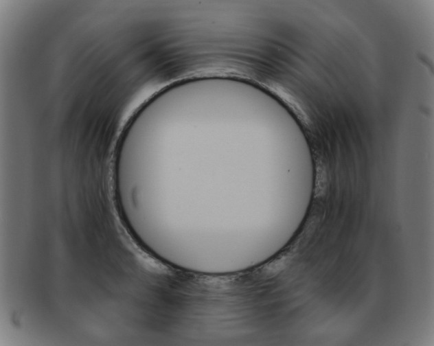 X0000091901086200709051059