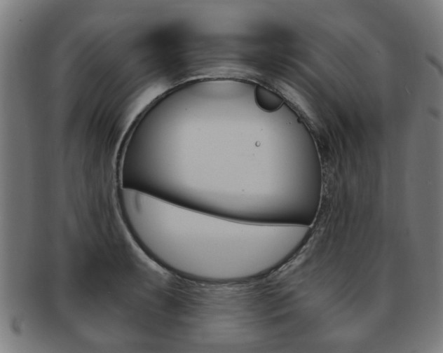 X0000091901087200709051059