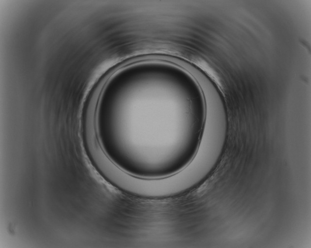 X0000091901088200709051059