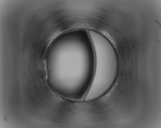 X0000091901089200709051059