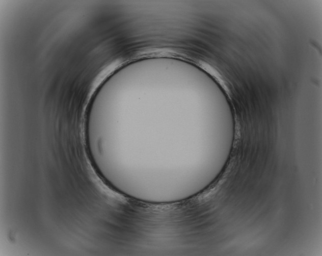 X0000091901090200709051059